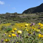 Biodammuso Tatil Evi *