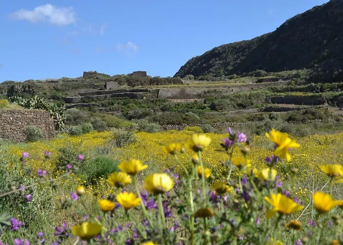 Biodammuso Feriehus *